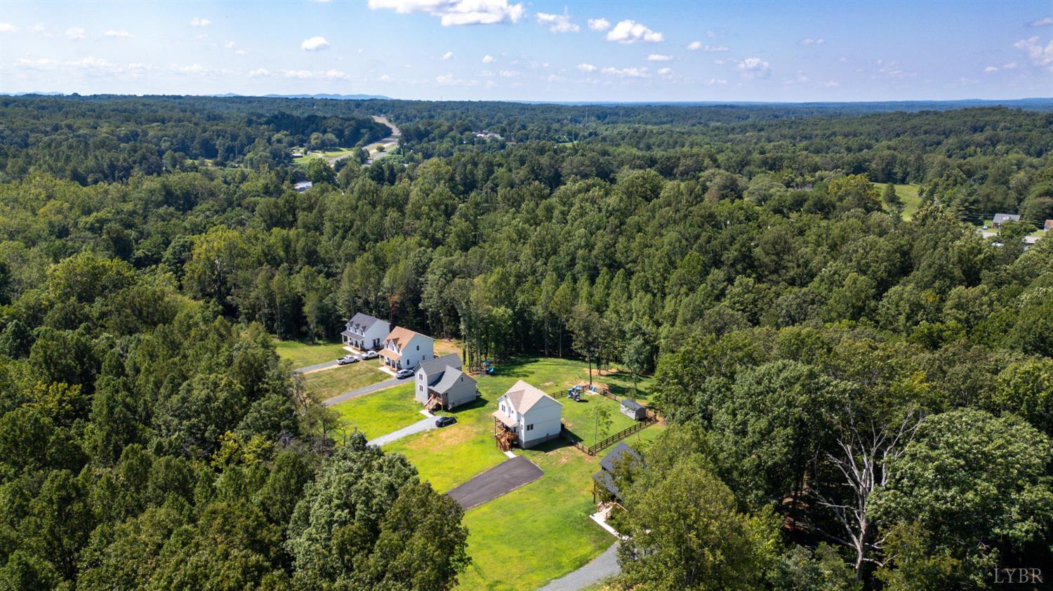 240 Ned Brown Road Amherst, VA 24521 - Photo 2 of 53