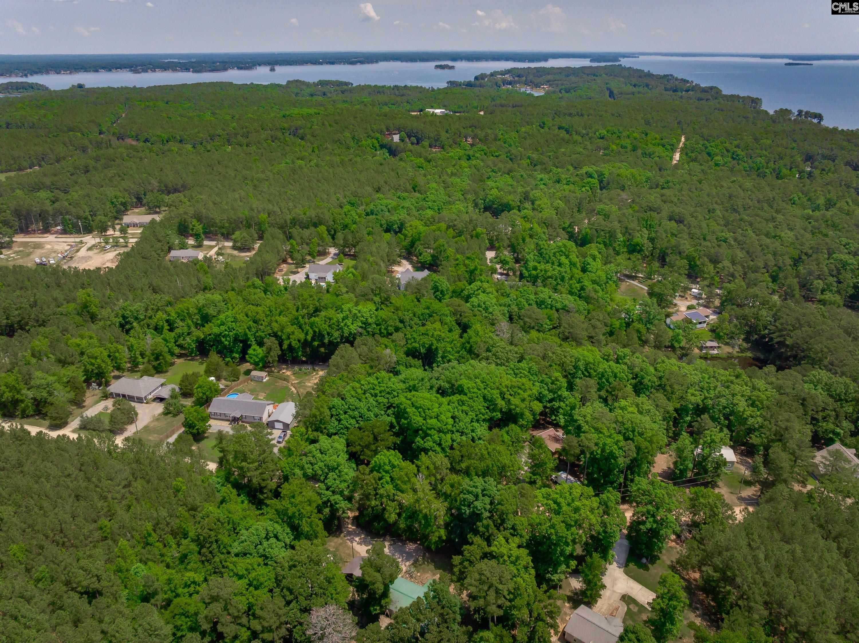 841 Foxden Road Gilbert, SC 29054 - Photo 50 of 52