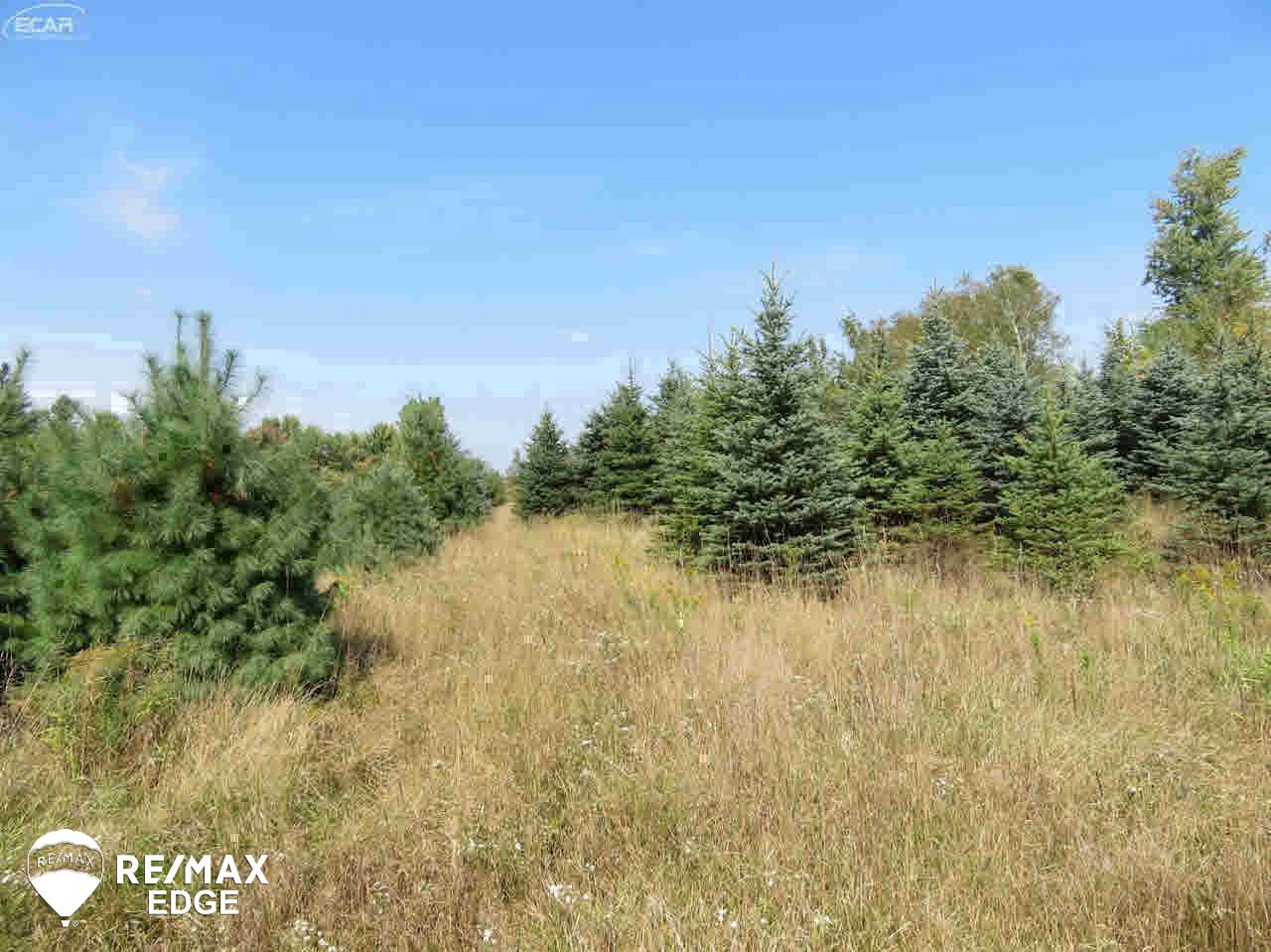 10388 North Oak Road Otisville, MI 48463 - Photo 7 of 21 Gallery Image 7