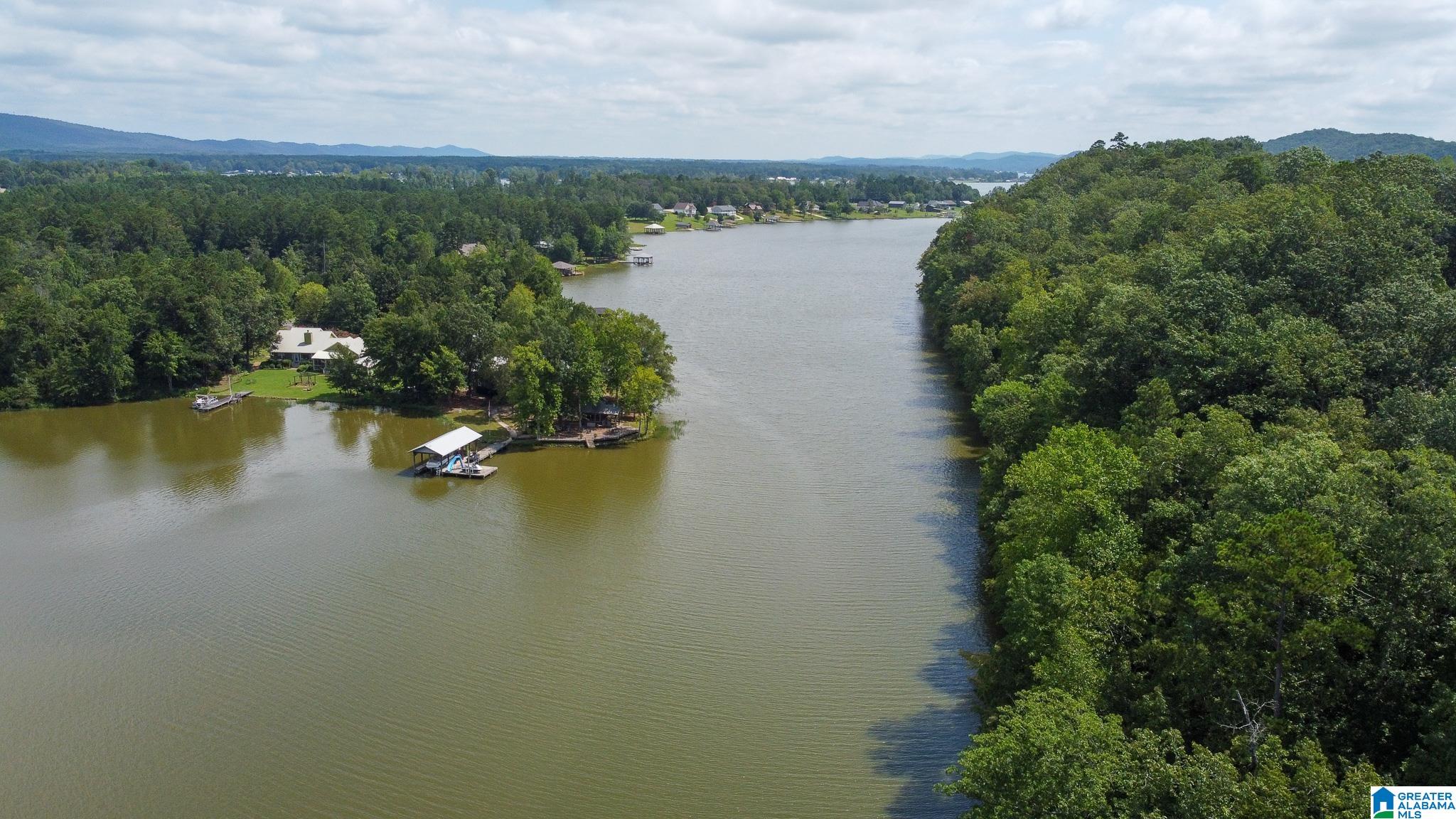 0 Colvin Springs Road Ashville, AL 35953 - Photo 28 of 31 Gallery Image 28