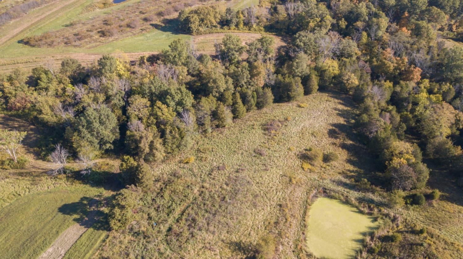 10386 Chesterville Road Moores Hill, IN 47032 - Photo 11 of 40 Gallery Image 11