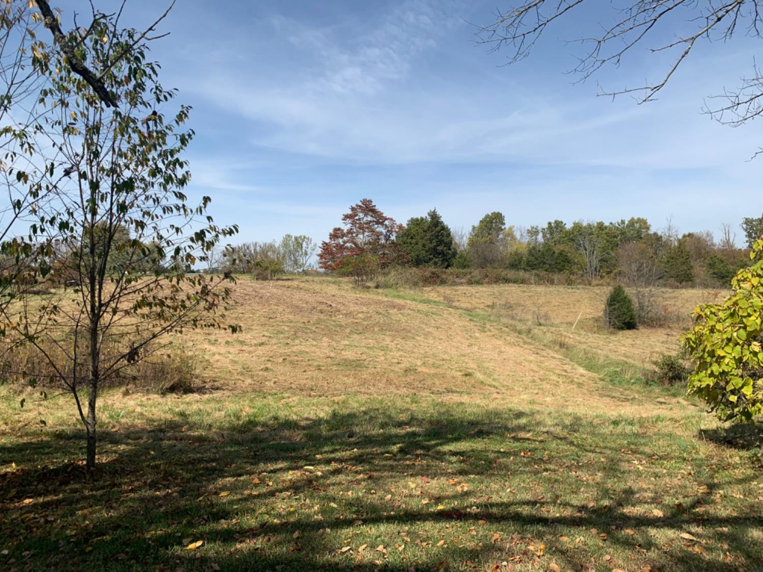 10386 Chesterville Road Moores Hill, IN 47032 - Photo 13 of 40 Gallery Image 13