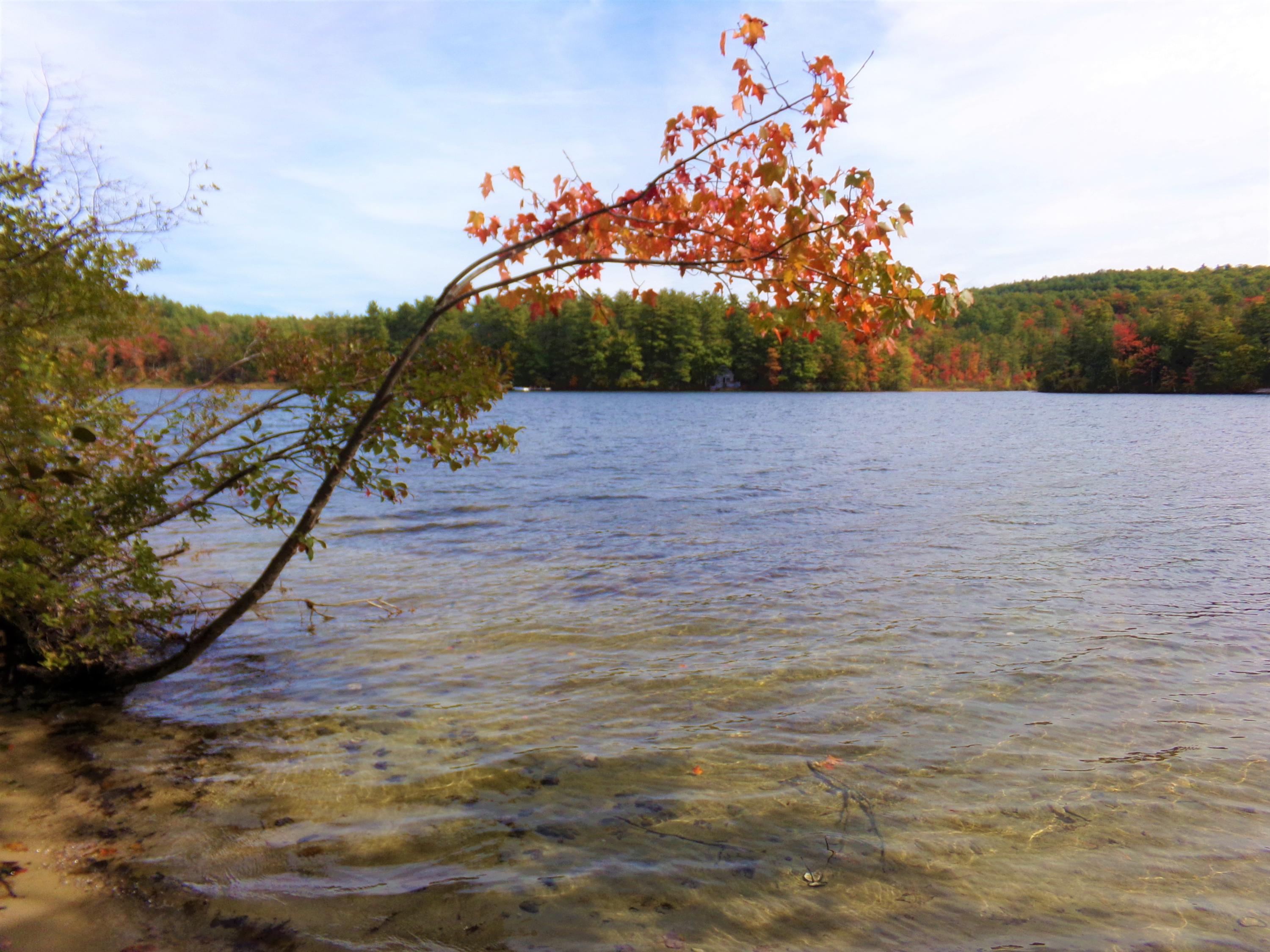 810 Meadow Road Casco, ME 04015 - Photo 4 of 29 100_0787