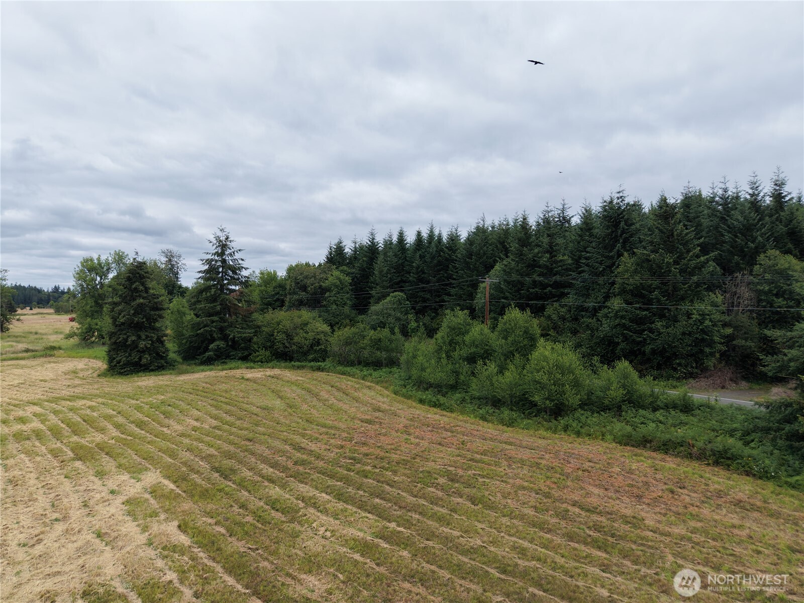 12345 Case Road Southwest Olympia, WA 98512 - Photo 18 of 35