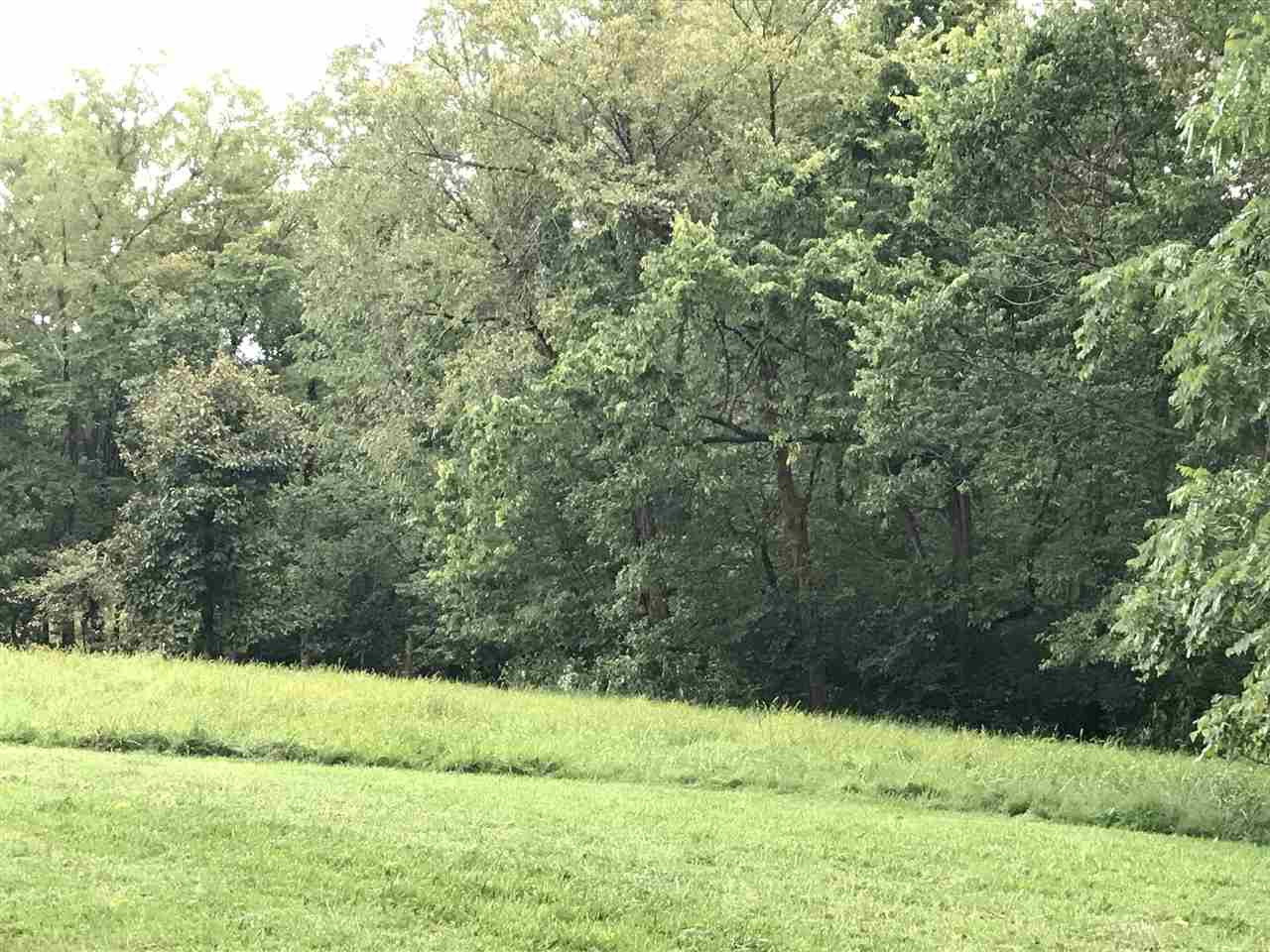 0 Violet Road Crittenden, KY 41030 - Photo 7 of 14 Gallery Image 7