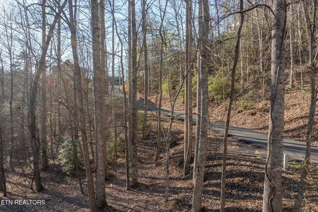 $36,000 | Lot 1458 Beach Front Drive, Sevierville, TN 37876