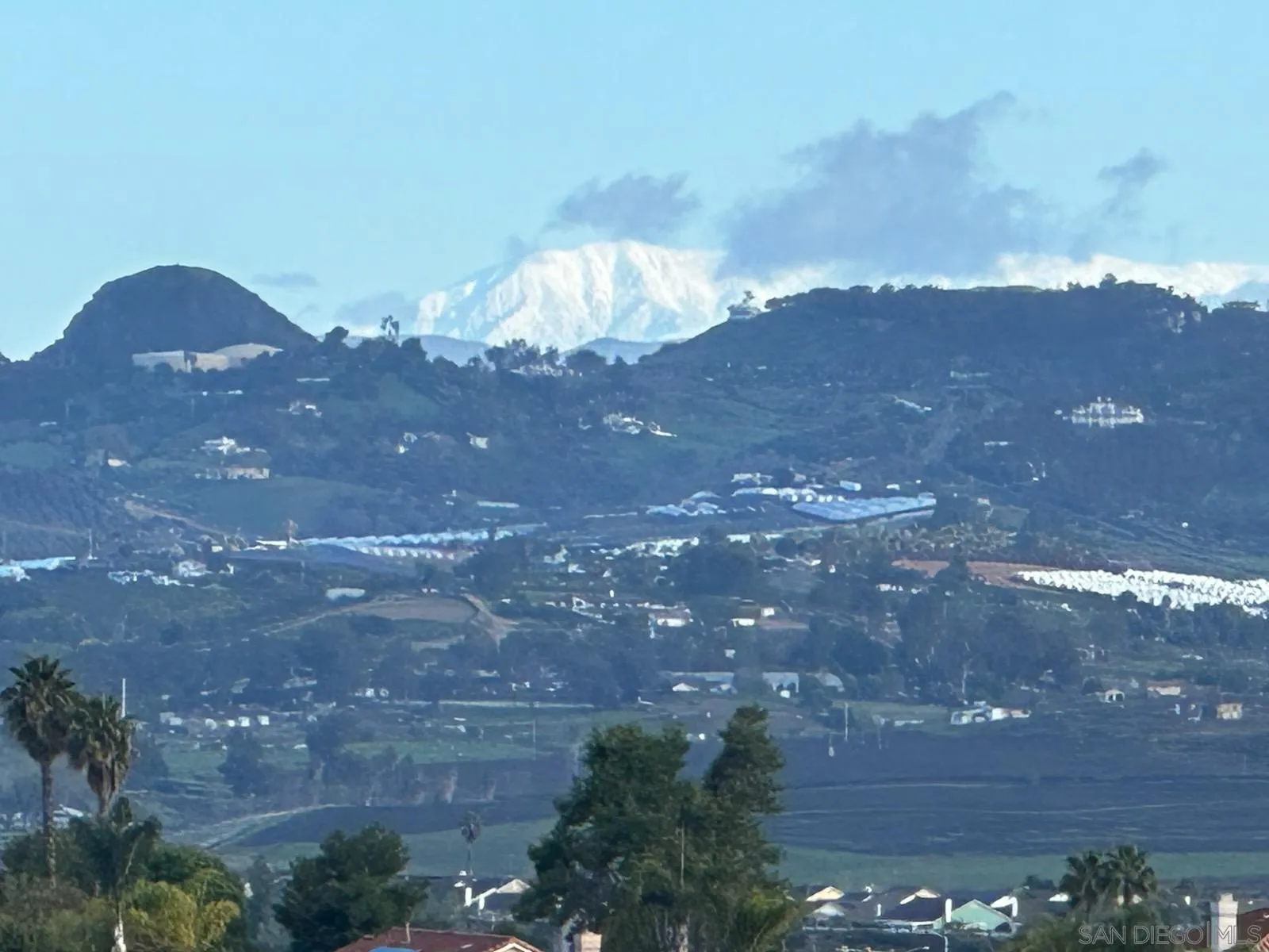 4523 Kittiwake Way Oceanside, CA 92057 - Photo 31 of 34 a view of a big yard