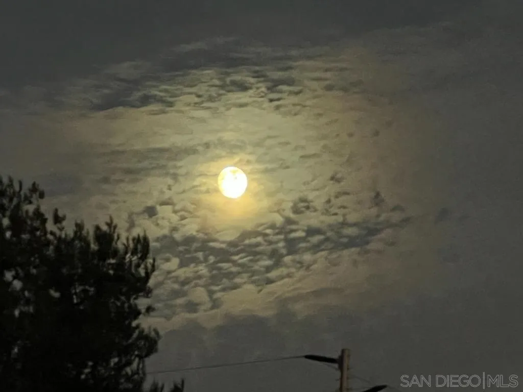 4523 Kittiwake Way Oceanside, CA 92057 - Photo 32 of 34