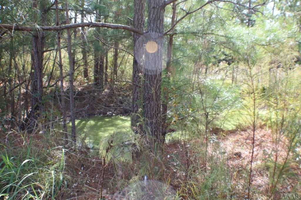 454 North Trotman Road Camden, NC 27921 - Photo 47 of 54 Gallery Image 47