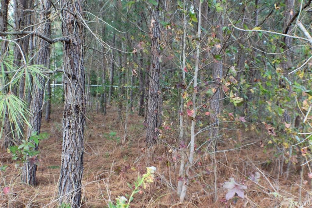 454 North Trotman Road Camden, NC 27921 - Photo 50 of 54 Gallery Image 50