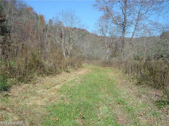 0 Round Knob Road Austinville, VA 24312 - Photo 14 of 15 Other.
