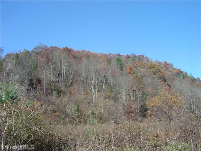 0 Round Knob Road Austinville, VA 24312 - Photo 4 of 15 Other.