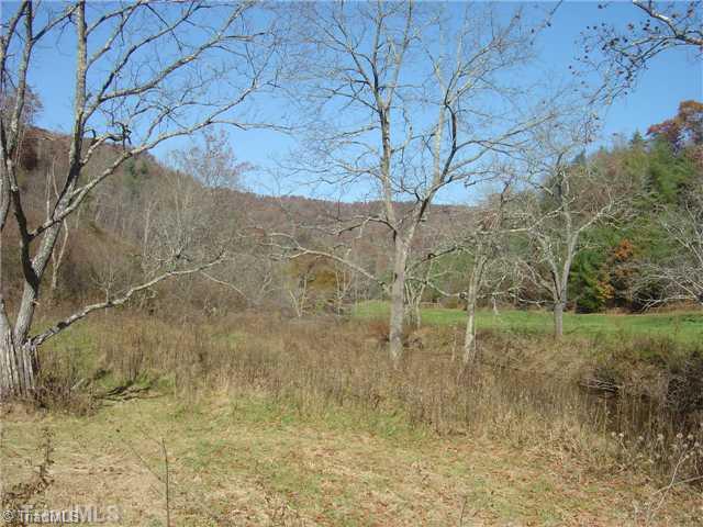 0 Round Knob Road Austinville, VA 24312 - Photo 5 of 15 Other.