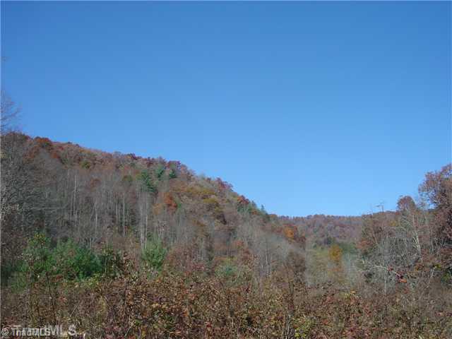0 Round Knob Road Austinville, VA 24312 - Photo 6 of 15 Other.