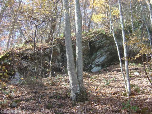 0 Round Knob Road Austinville, VA 24312 - Photo 7 of 15 Other.