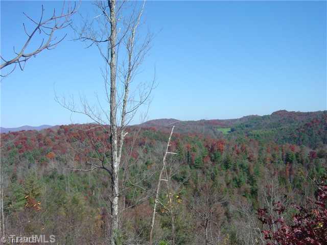 0 Round Knob Road Austinville, VA 24312 - Photo 8 of 15 Other.