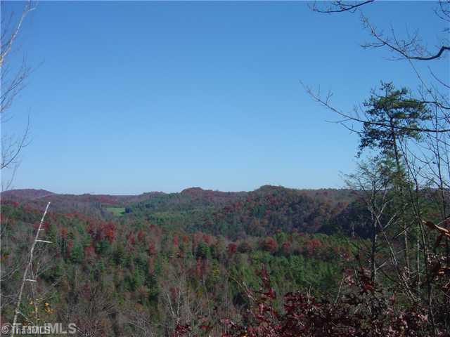 0 Round Knob Road Austinville, VA 24312 - Photo 9 of 15 Other.