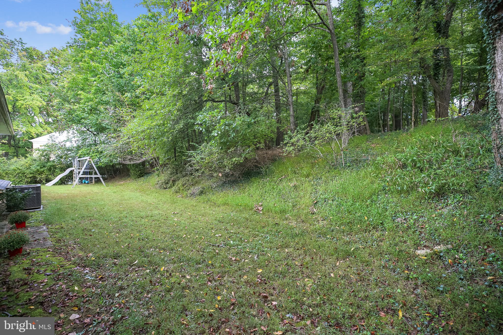 9505 Emory Grove Road Gaithersburg, MD 20877 - Photo 36 of 75 a view of a lush green forest