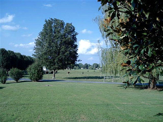 3736 Old Bonair Road Sparta, TN 38583 - Photo 36 of 40 169498_36