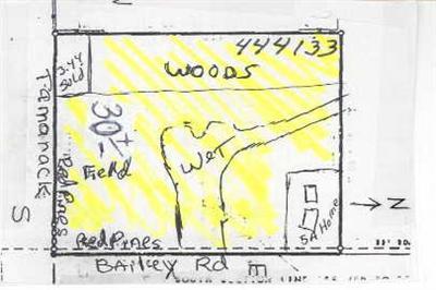 Bailey Road, Unit PAR A Howard City, MI 49329 - Photo 1 of 1 Primary Photo