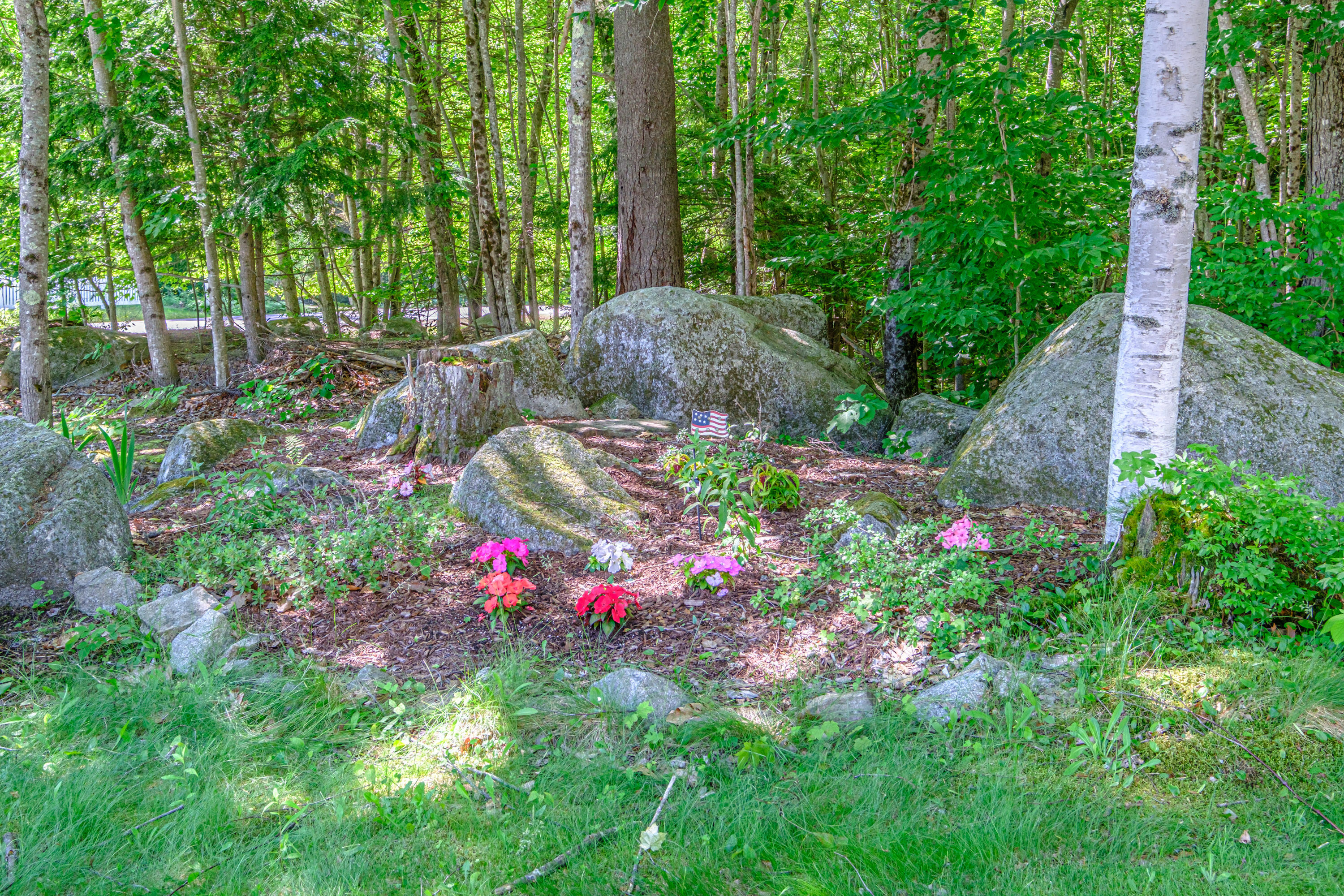 23 Perkins Road Mechanic Falls, ME 04256 - Photo 46 of 61 20260616gp-60052