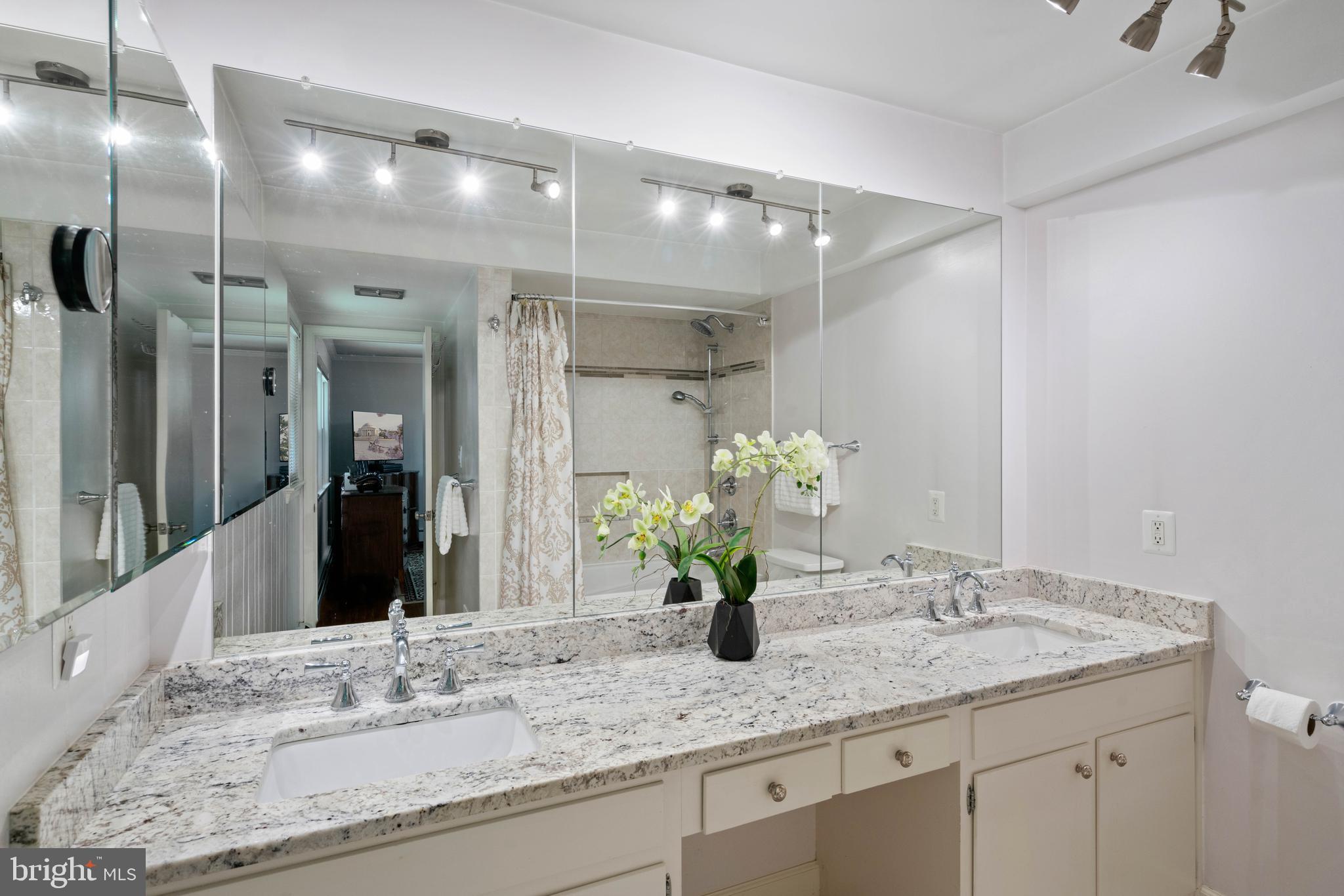 2617 Fox Mill Road Reston, VA 20191 - Photo 45 of 82 Ensuite primary bath w dual sink granite counters