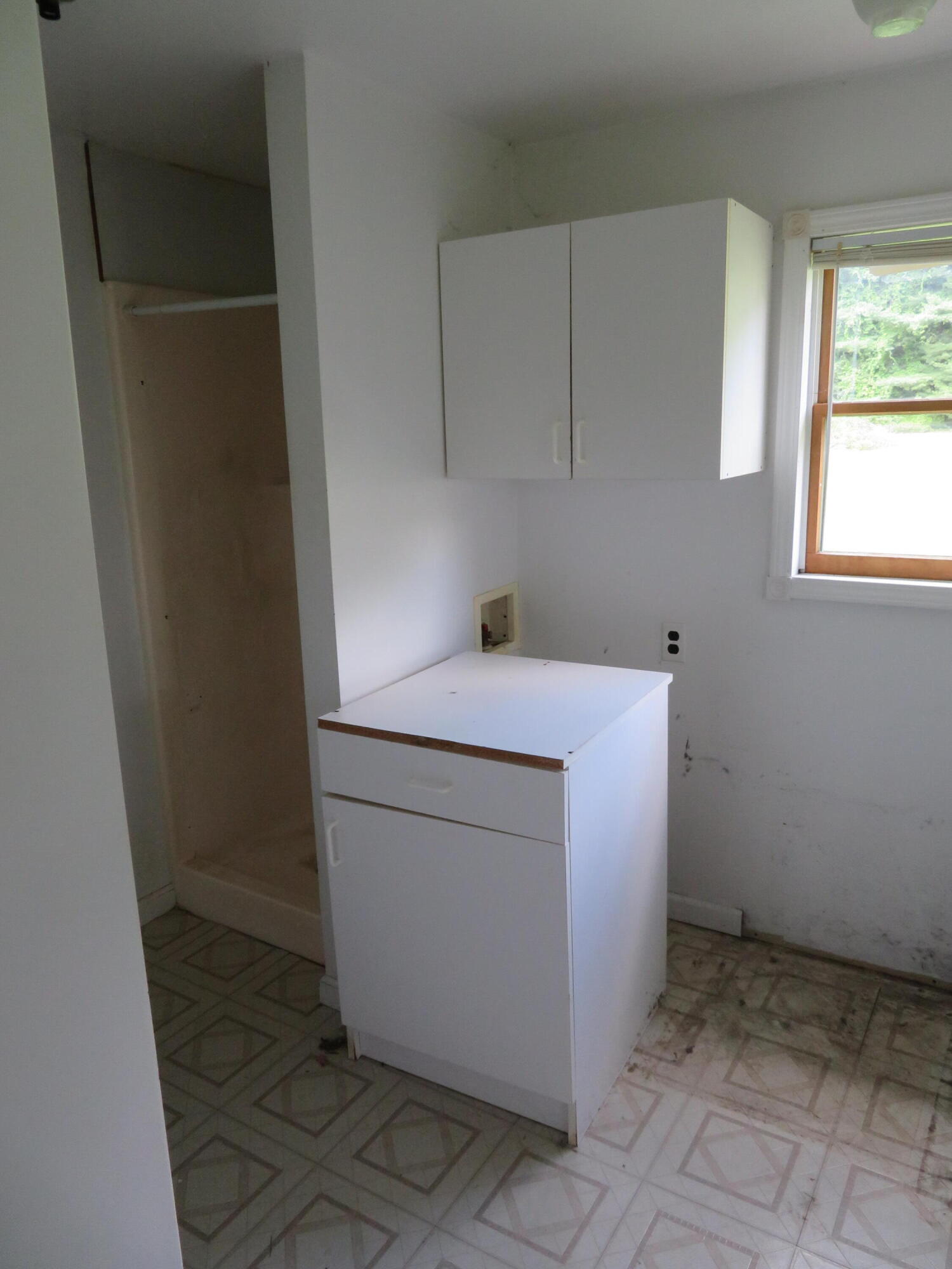 10286 Whittaker Road Milan, MI 48160 - Photo 10 of 12 IMG_0793