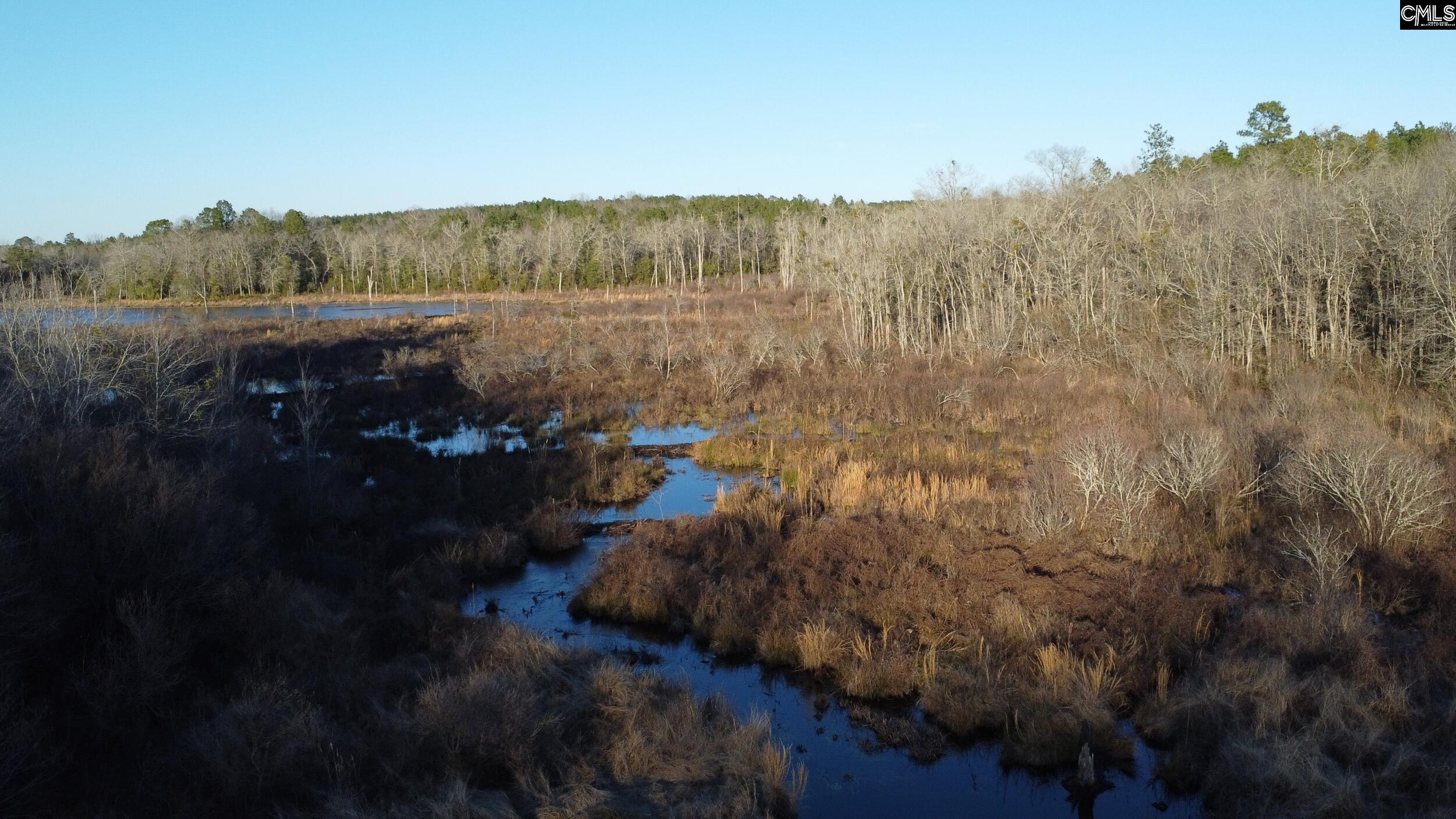 Tbd Tbd Millers Pond Road Salley, SC 29137 - Photo 16 of 20