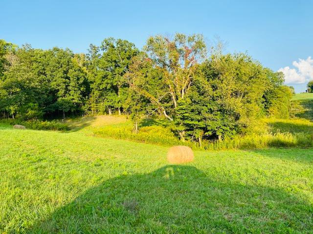 355 Mcfall Road Albany, KY 42602 - Photo 3 of 28 IMG_7216