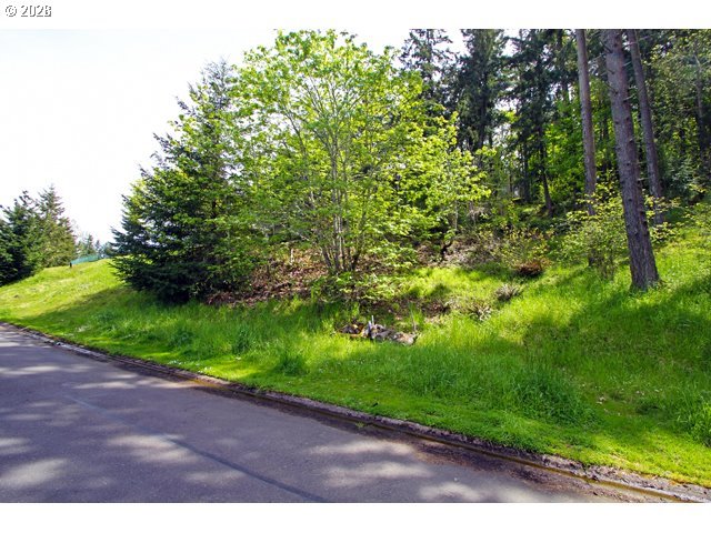 0 Rockridge Loop Eugene, OR 97405 - Photo 3 of 13