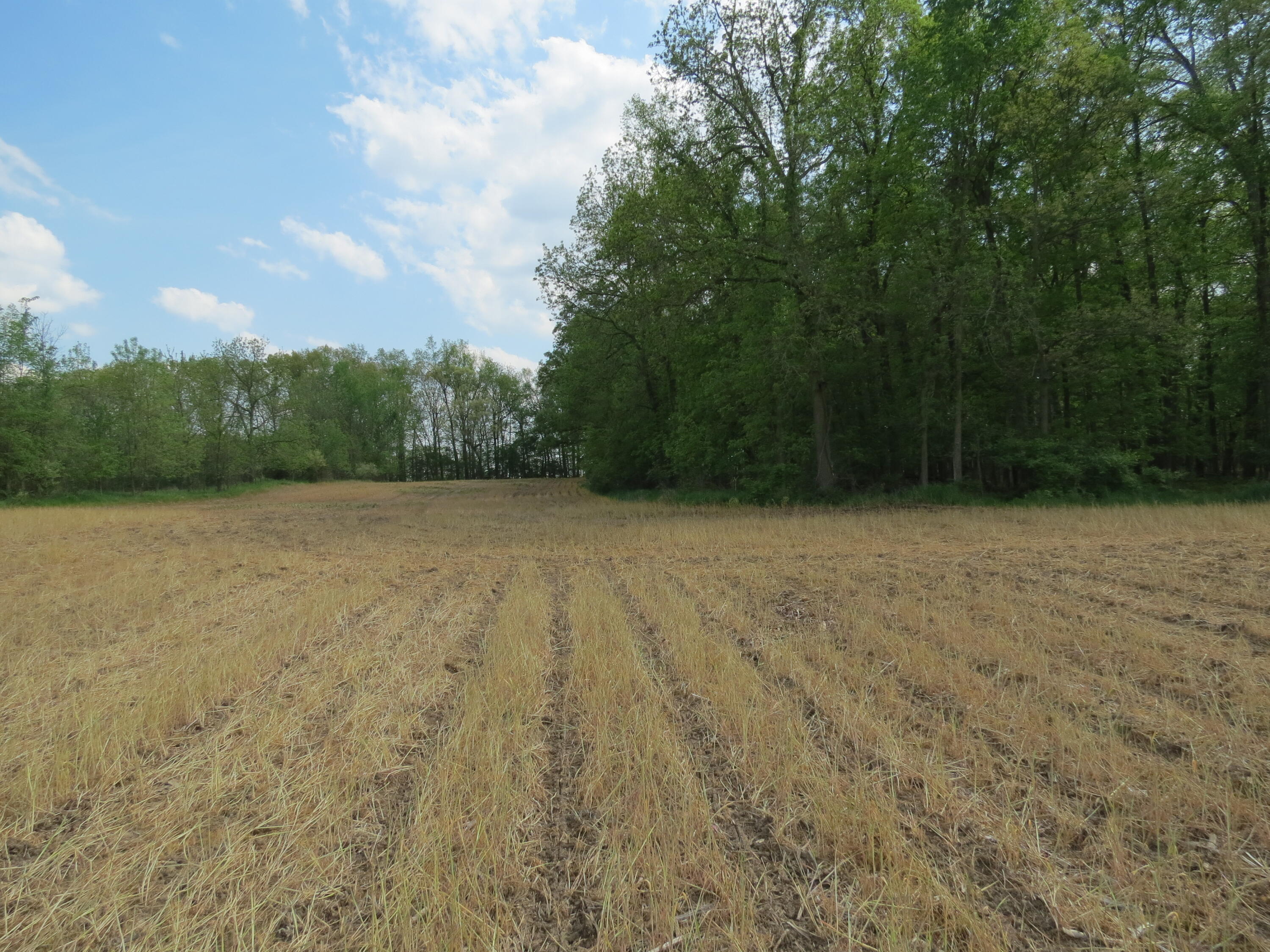 South Stony Lake Road, Unit B Jackson, MI 49201 - Photo 21 of 30 IMG_4262