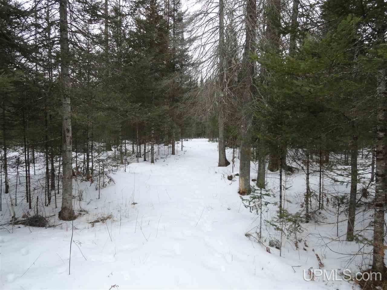 416 (23rd Road Gladstone, MI 49837 - Photo 24 of 36