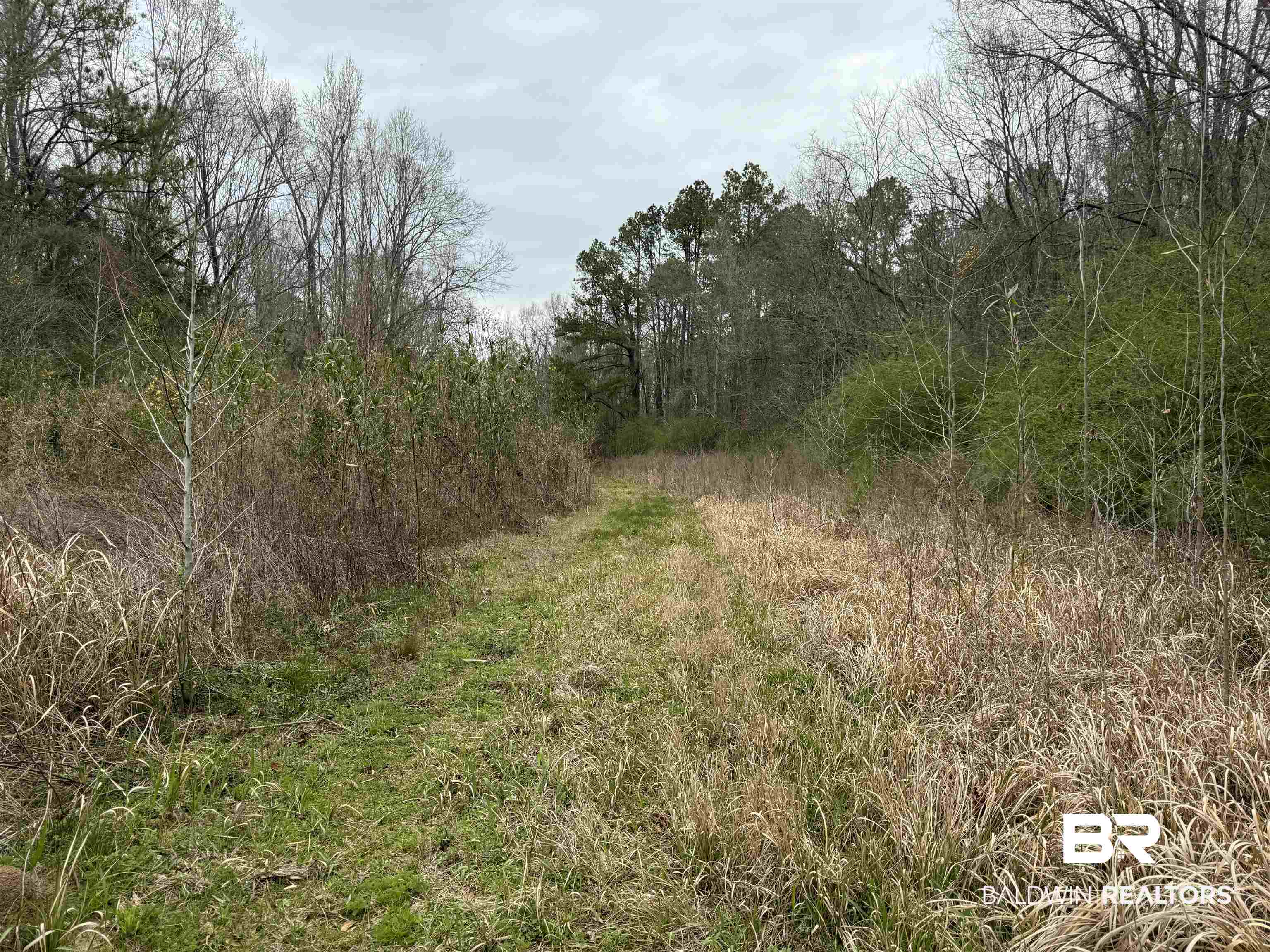 0 Cement Plant Road Jackson, AL 36545 - Photo 17 of 22