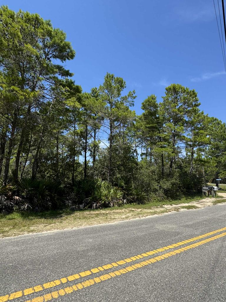 208 Woodill Road Carrabelle, FL 32322 - Photo 13 of 18 Gallery Image 13