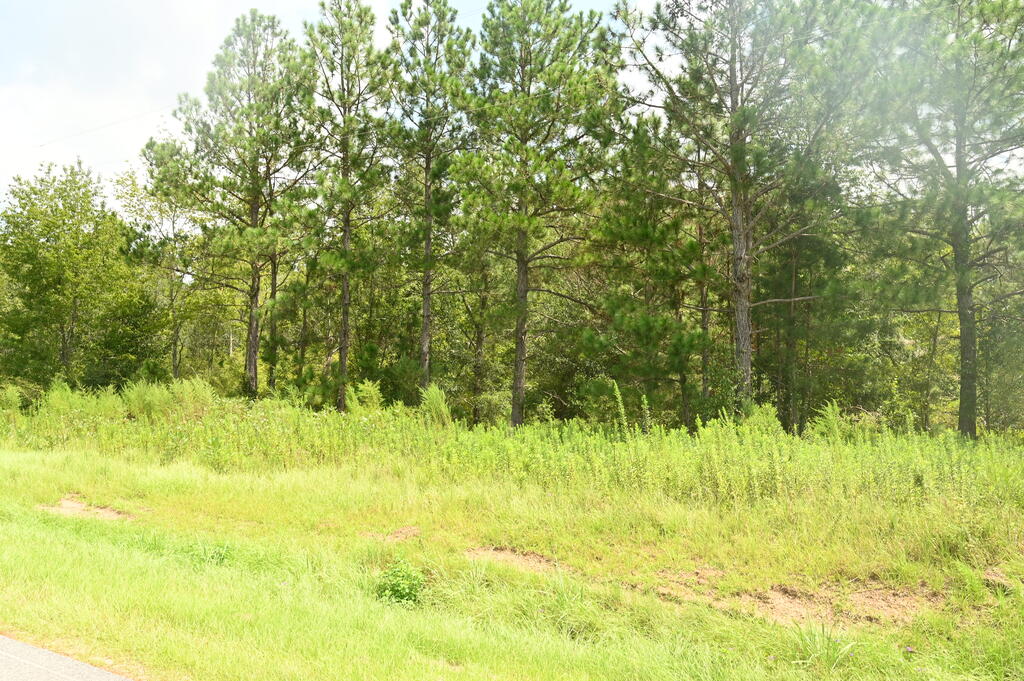 0 Lakeview Church Road Lenox, GA 31637 - Photo 2 of 6 Gallery Image 2