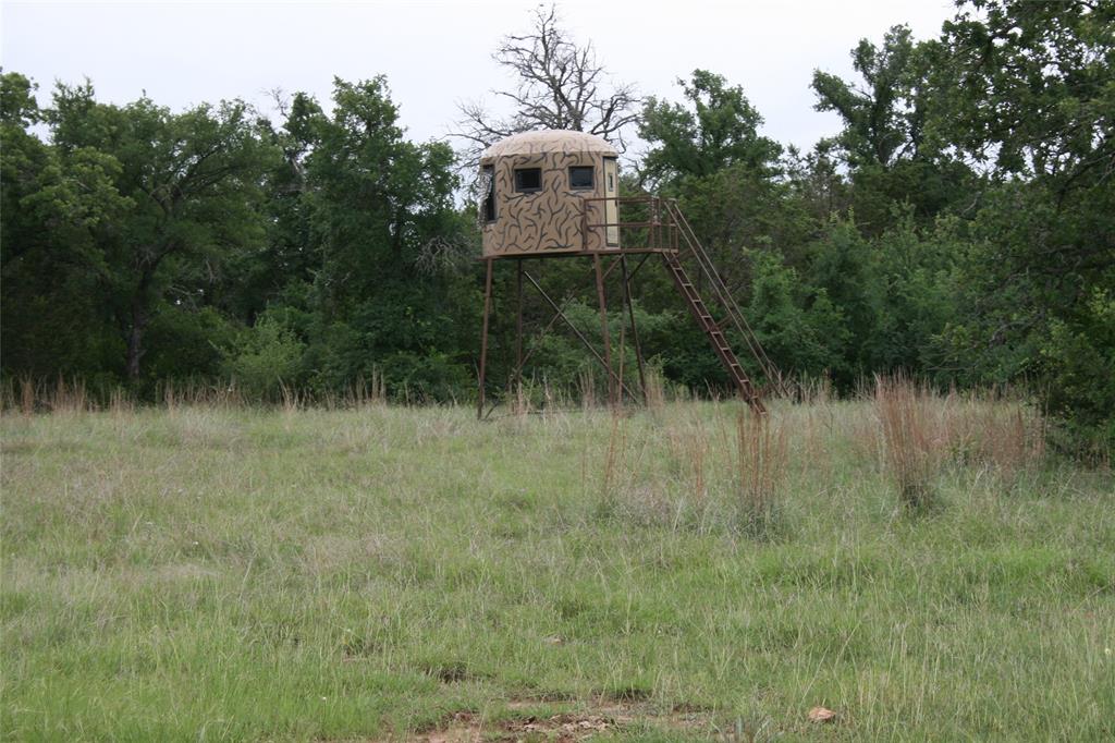 2701 Live Oak Road Santo, TX 76472 - Photo 14 of 39 Hunting