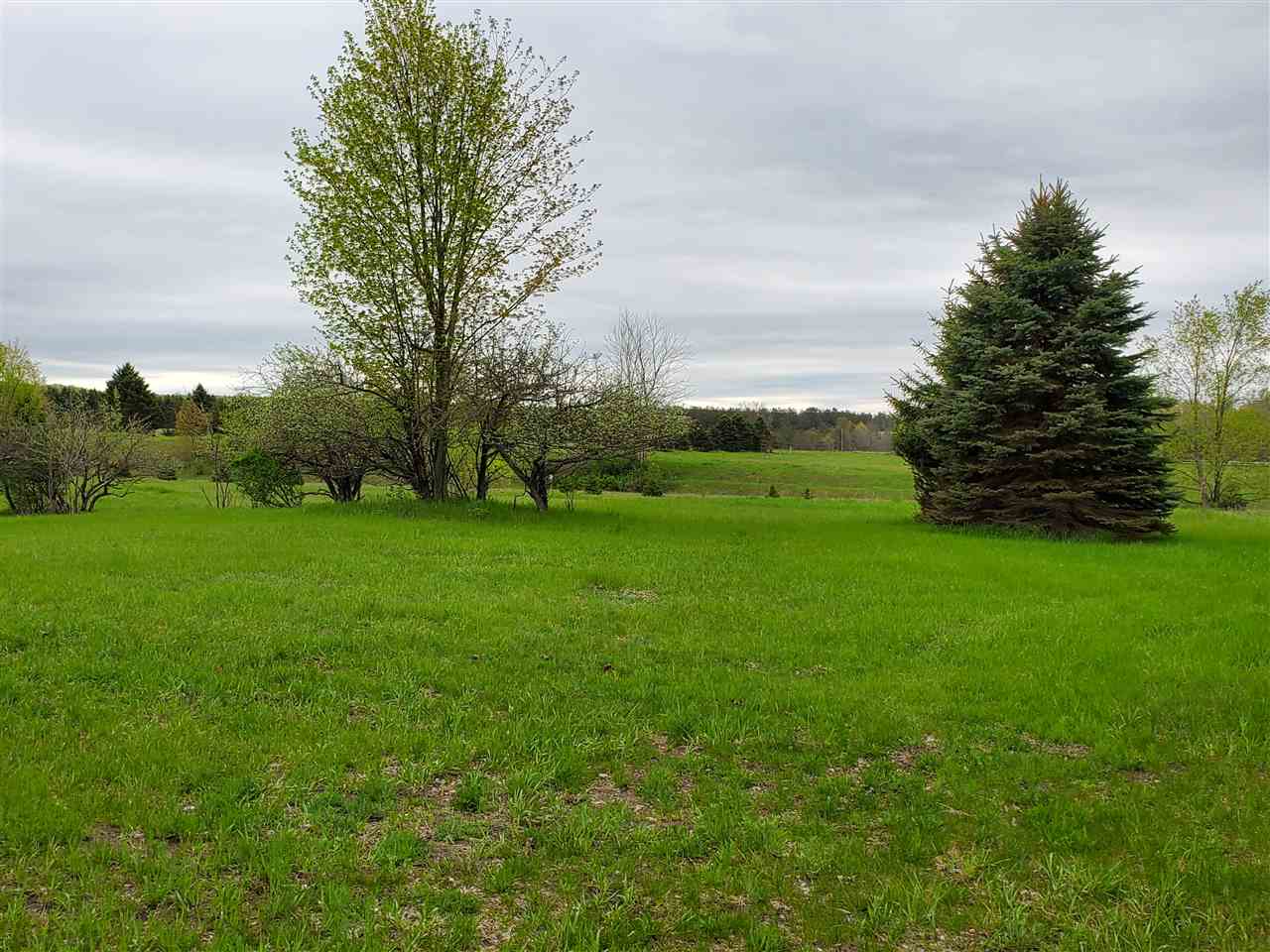 21074 Dougherty Road Copemish, MI 49625 - Photo 2 of 43 1855852-1.JPG