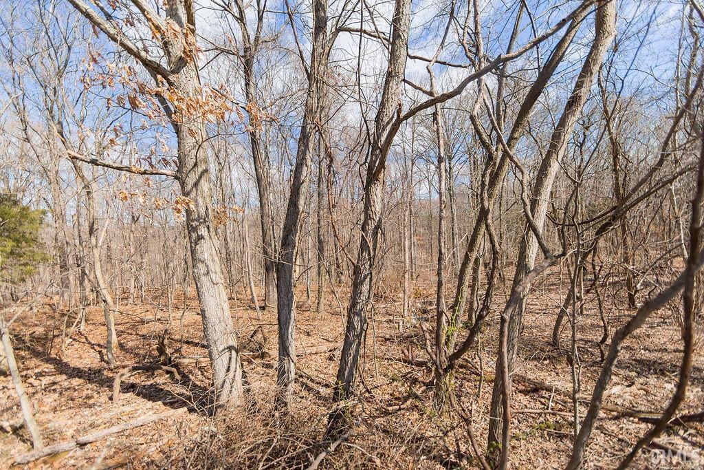 8410 West Gardner Road Bloomington, IN 47403 - Photo 9 of 13 Gallery Image 9
