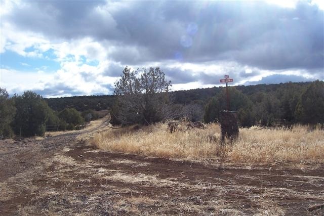 Lot 5 West Shumway Road Taylor, AZ 85939 - Photo 1 of 6