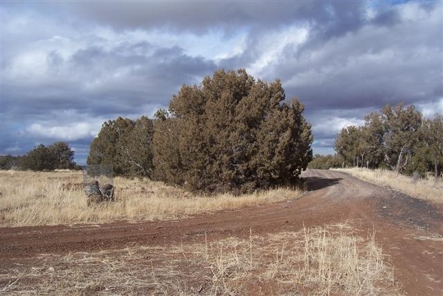 Lot 5 West Shumway Road Taylor, AZ 85939 - Photo 2 of 6