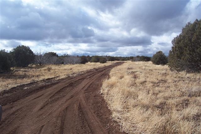 Lot 5 West Shumway Road Taylor, AZ 85939 - Photo 3 of 6