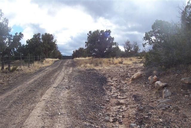 Lot 5 West Shumway Road Taylor, AZ 85939 - Photo 4 of 6
