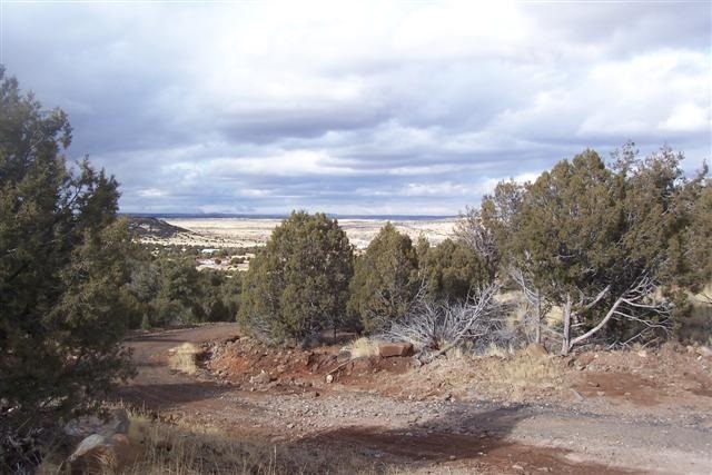 Lot 5 West Shumway Road Taylor, AZ 85939 - Photo 5 of 6