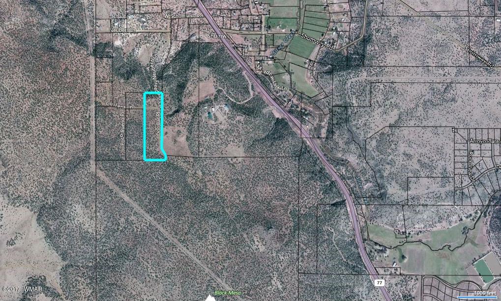 Lot 5 West Shumway Road Taylor, AZ 85939 - Photo 6 of 6