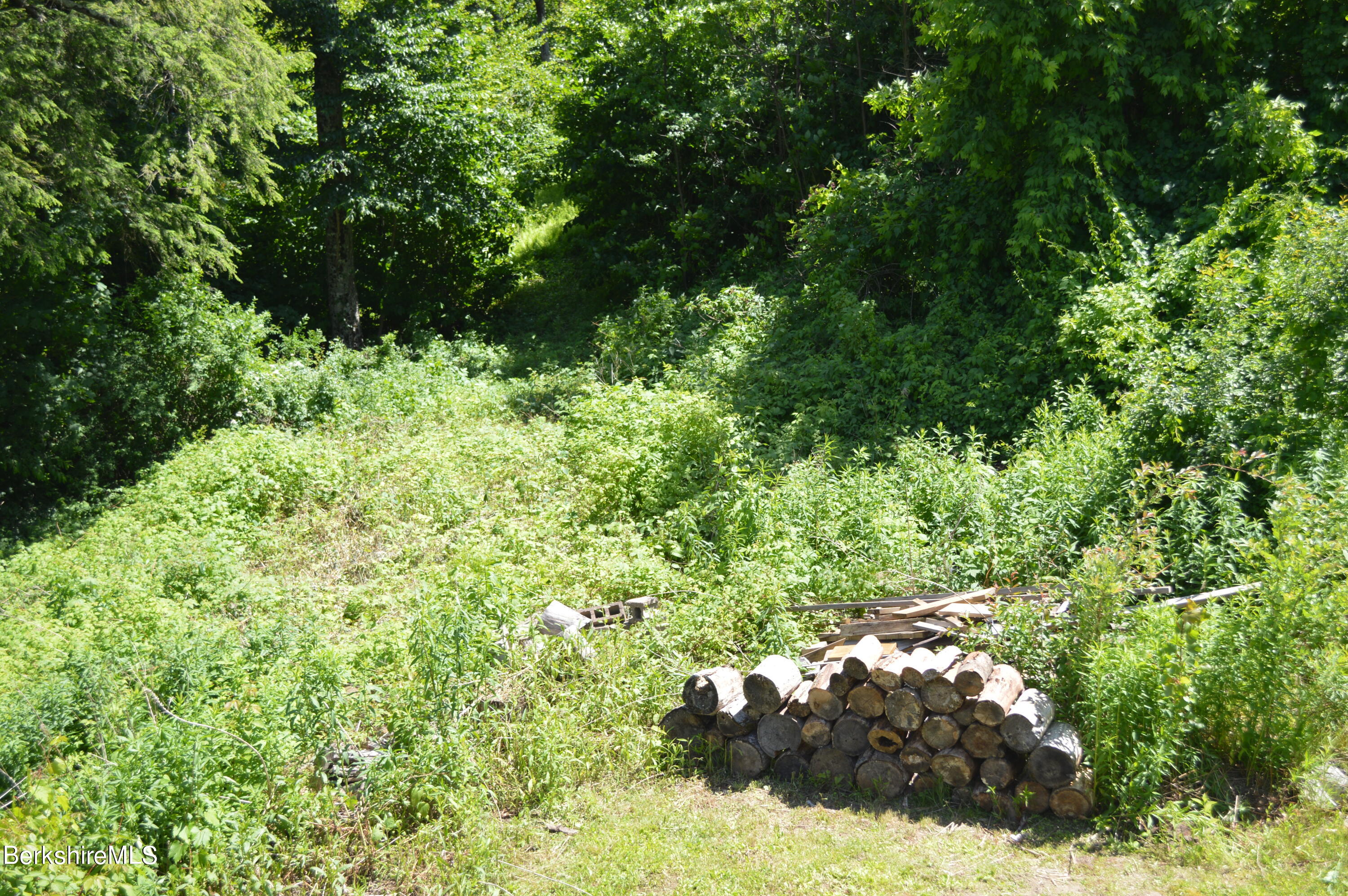 684 Leonhardt Road Becket, MA 01223 - Photo 48 of 56 Side yard