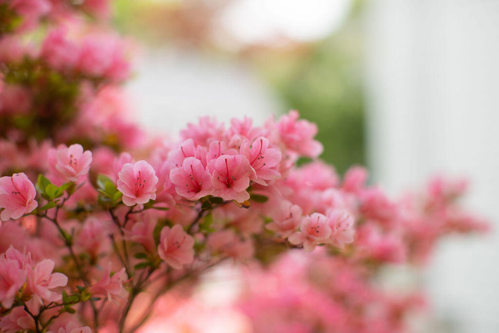 182 Pepperrell Road Kittery Point, ME 03905 - Photo 30 of 40 182 Pepperrell Rd, Kittery