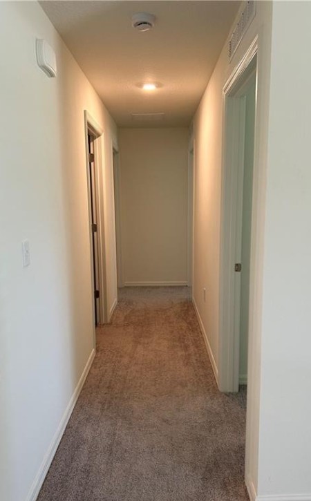 1352 Clearmont Street Sebastian, FL 32958 - Photo 9 of 9 an empty room with windows