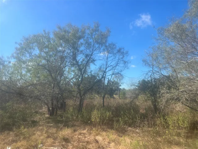 $185,000 | 23933 Sagewood Lane, Bedias, TX 77831