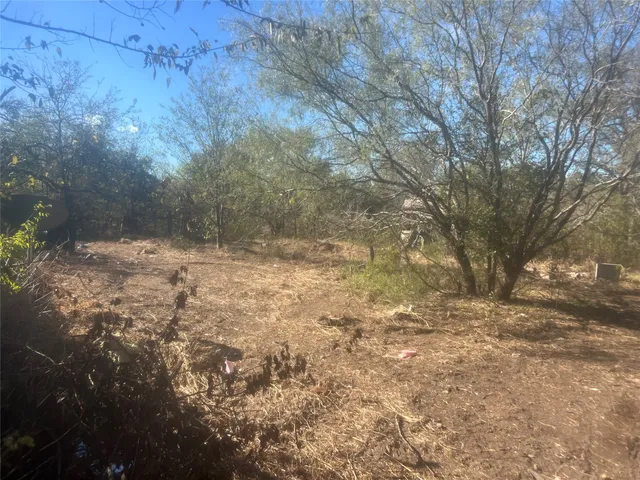 a view of a yard with trees