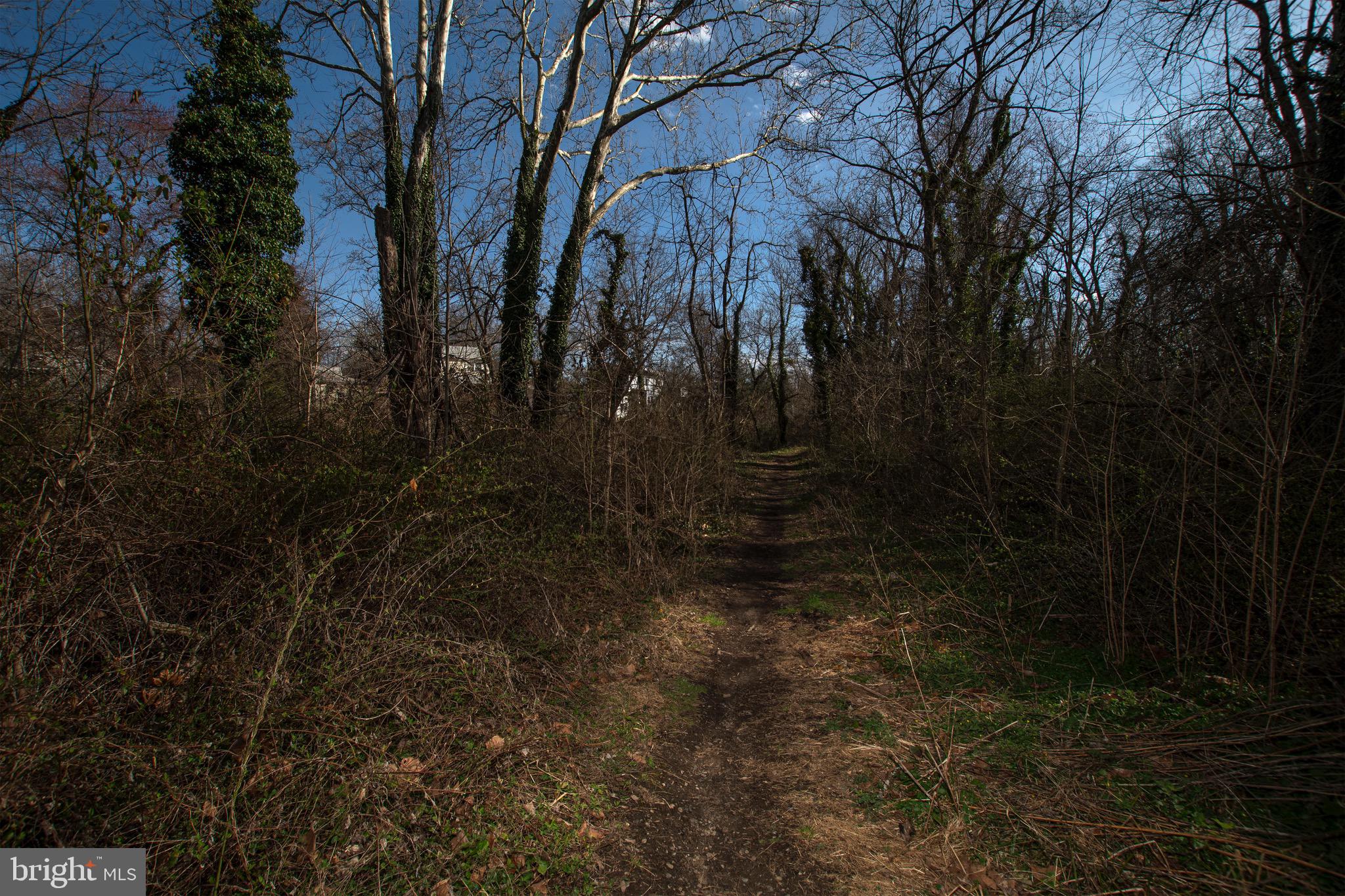 30 Timberline Drive Newark, DE 19711 - Photo 30 of 39 a view of forest